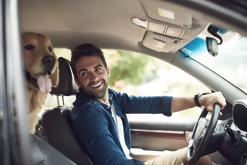 A smiling driver glances back at a happy golden retriever in the car on a sunny day.